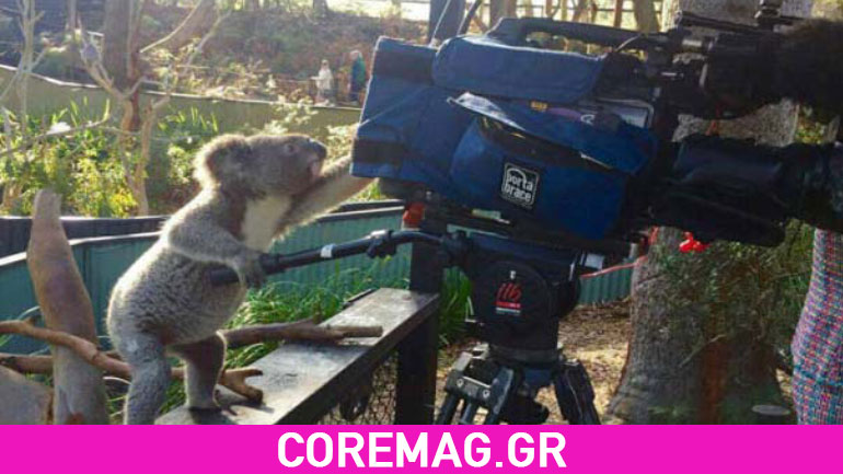 Οι πιο αστείες φωτογραφίες της εβδομάδας